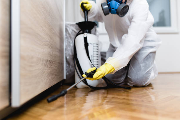 Best Pest Removal Services  in Star, ID