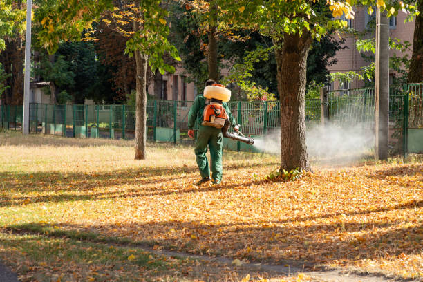 Best Wildlife Control Services  in Star, ID