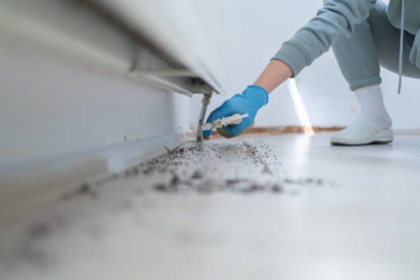 Trusted Star, ID Pest Control Experts