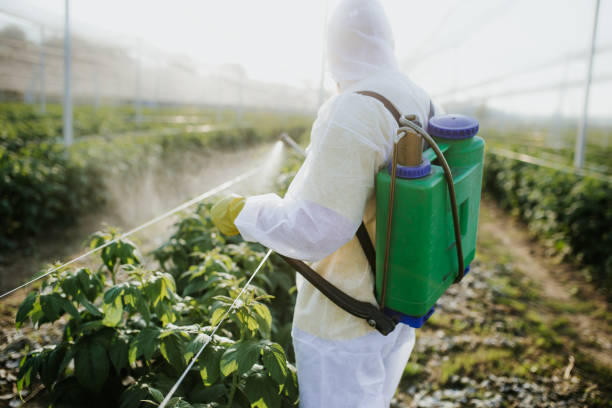 Insect Control in Star, ID